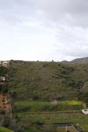 Terreno en Cortijo los Pérez s/n