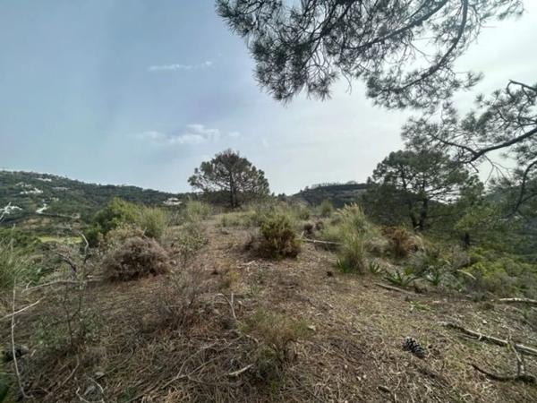 Terreno en Urbanizacion Coto la Zagaleta, 96 g