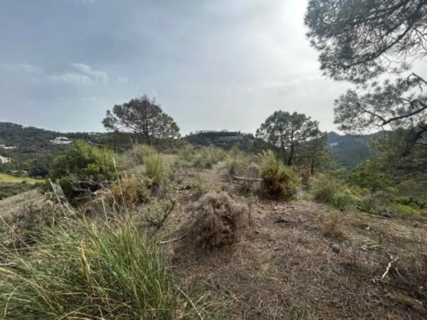 Terreno en Urbanizacion Coto la Zagaleta, 96 g
