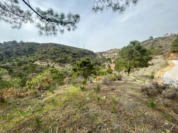 Terreno en Urbanizacion Coto la Zagaleta, 96 g