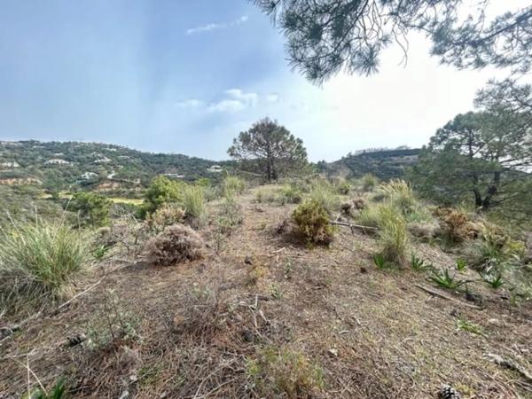Terreno en Urbanizacion Coto la Zagaleta, 96 g