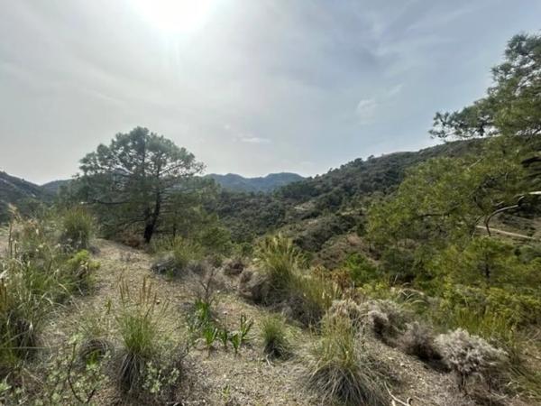 Terreno en Urbanizacion Coto la Zagaleta, 96 g