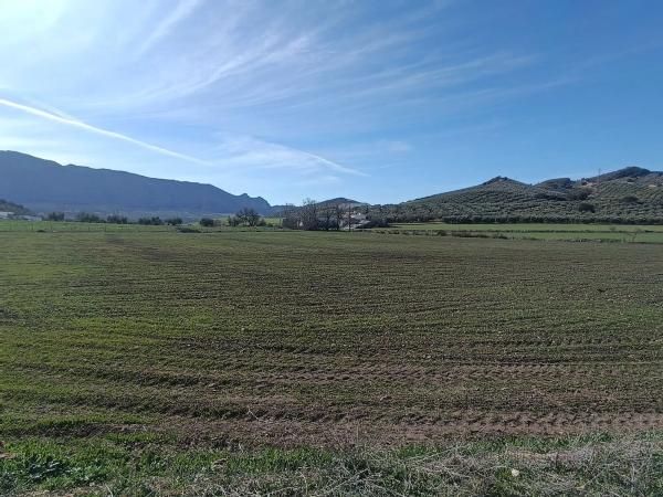 Terreno en Diseminado Poligono 240, 46