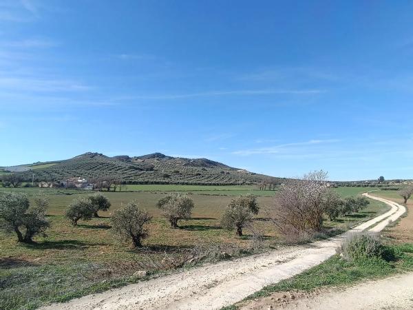 Terreno en Diseminado Poligono 240, 46