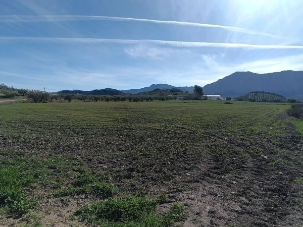 Terreno en Diseminado Poligono 240, 46