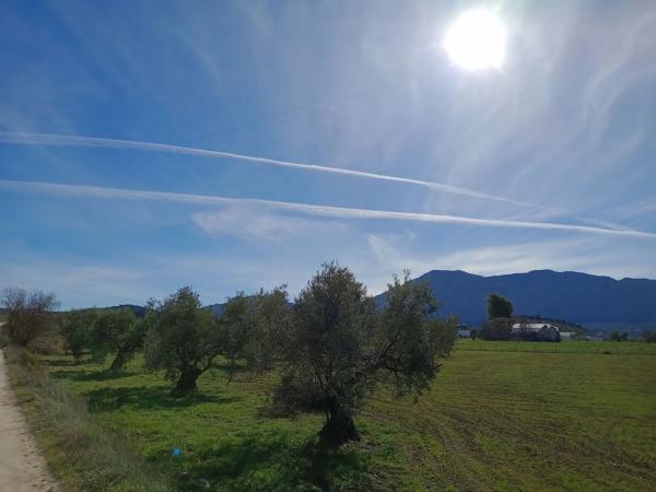 Terreno en Diseminado Poligono 240, 46