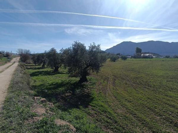 Terreno en Diseminado Poligono 240, 46