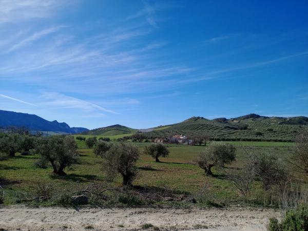Terreno en Diseminado Poligono 240, 46