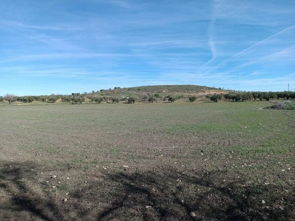 Terreno en Diseminado Poligono 240, 46