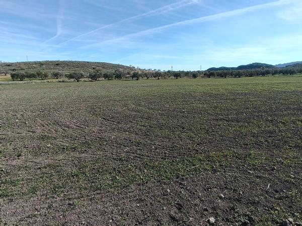 Terreno en Diseminado Poligono 240, 46