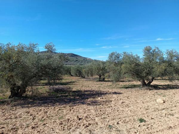 Terreno en Diseminado Poligono 240, 46