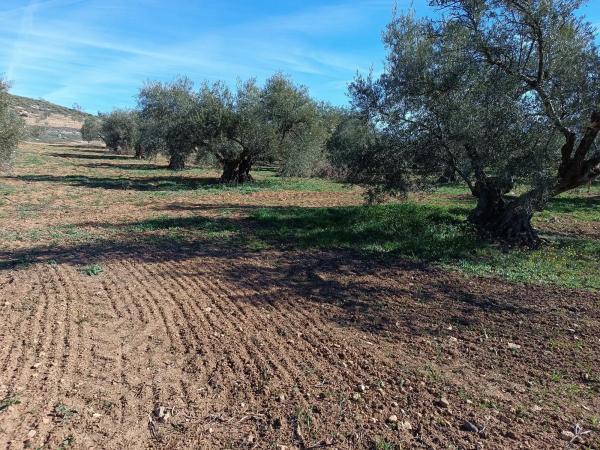 Terreno en Diseminado Poligono 240, 46