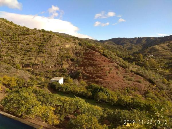 Terreno en Ojén pueblo