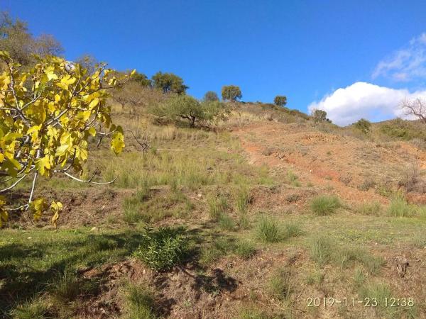 Terreno en Ojén pueblo