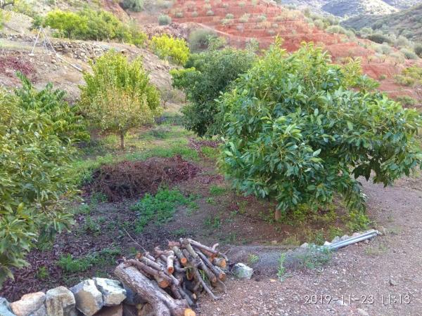 Terreno en Ojén pueblo