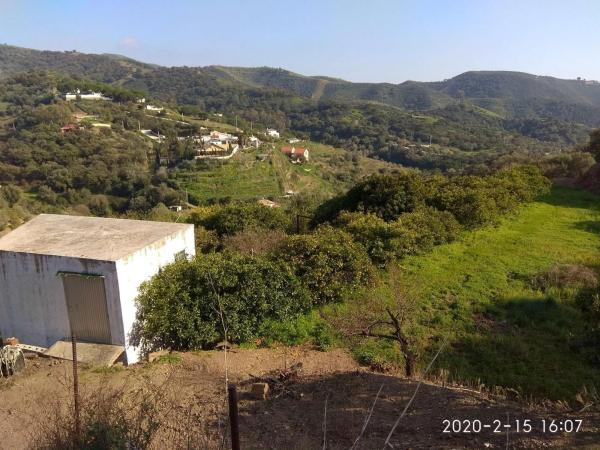 Terreno en Ojén pueblo