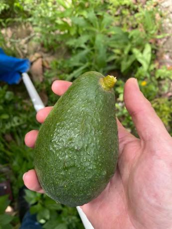 Terreno en alto Diseminado Almayate, 43