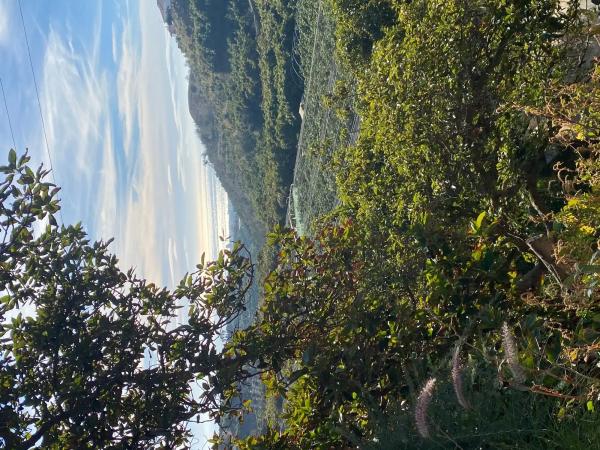 Terreno en alto Diseminado Almayate, 43