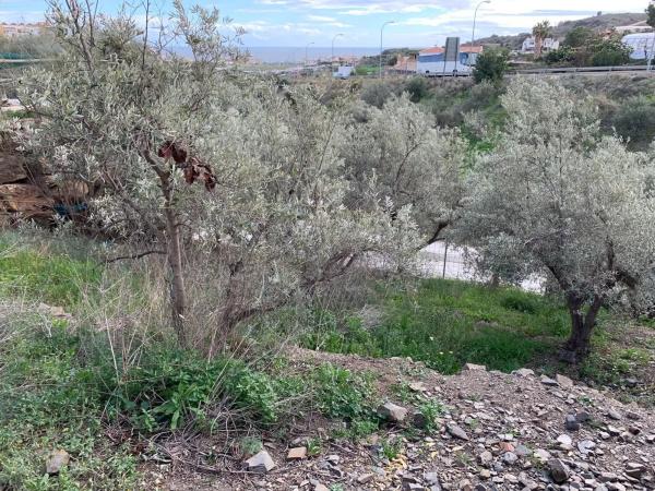 Terreno en Diseminado Pago Dehesa, 2754