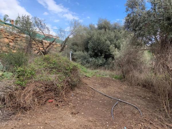 Terreno en Diseminado Pago Dehesa, 2754