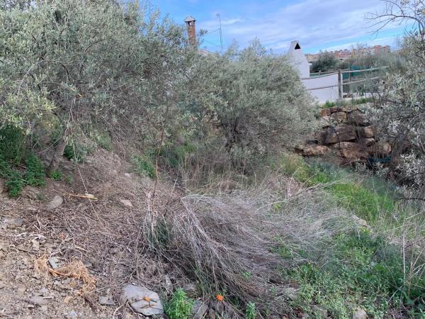 Terreno en Diseminado Pago Dehesa, 2754