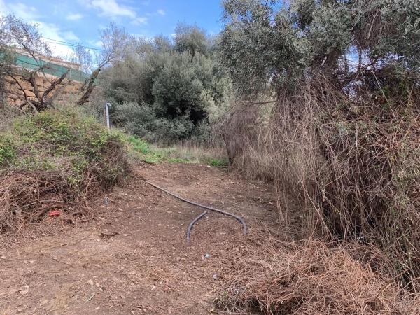 Terreno en Diseminado Pago Dehesa, 2754