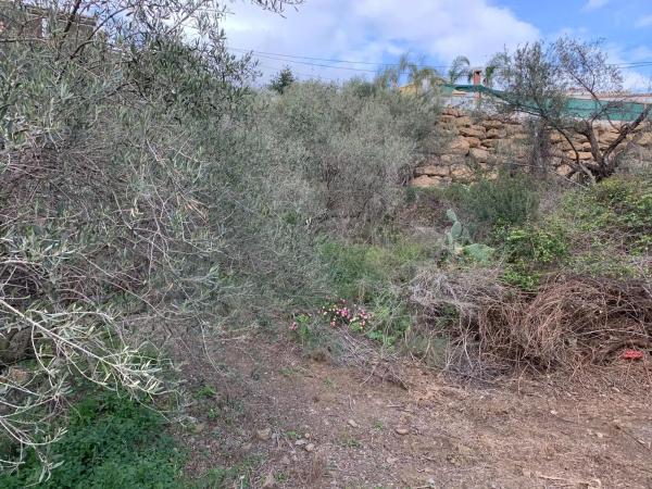 Terreno en Diseminado Pago Dehesa, 2754