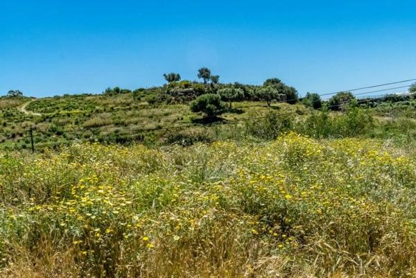 Terreno en Terreno Sup. 5