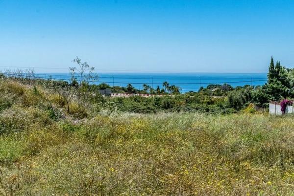 Terreno en Terreno Sup. 5