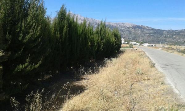 Terreno en Diseminado Diseminados, km 0