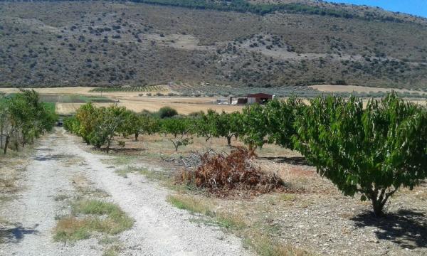 Terreno en Diseminado Diseminados, km 0