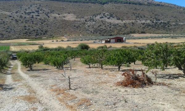 Terreno en Diseminado Diseminados, km 0