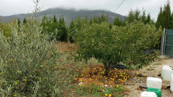 Terreno en Diseminado Diseminados, km 0