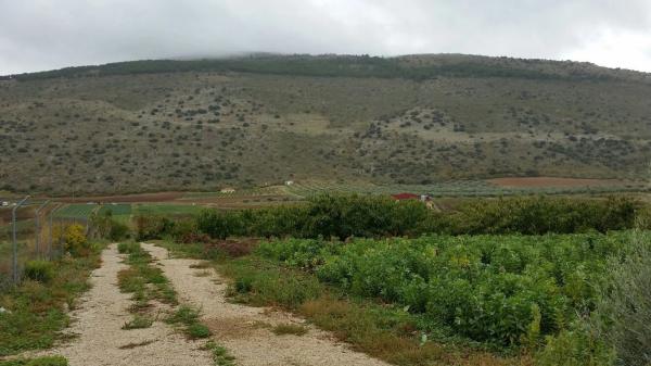 Terreno en Diseminado Diseminados, km 0