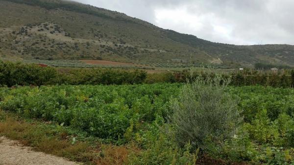 Terreno en Diseminado Diseminados, km 0