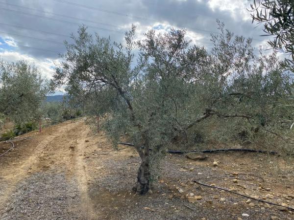 Terreno en Diseminado Poligono 2, 559
