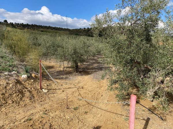 Terreno en Diseminado Poligono 2, 559