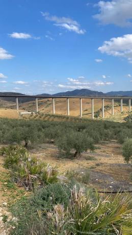 Terreno en Diseminado Poligono 2, 559