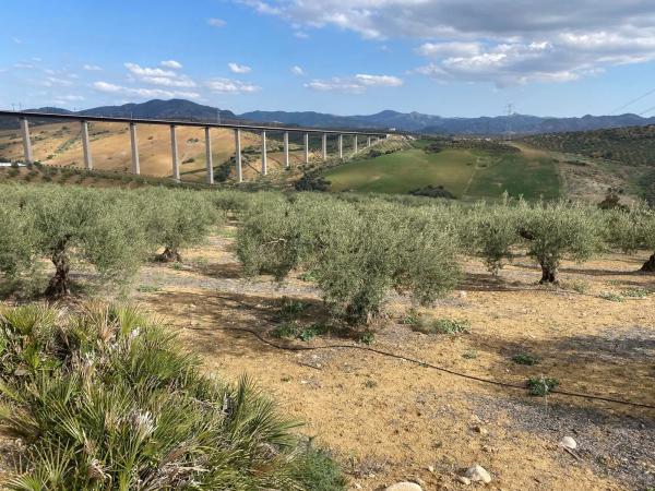 Terreno en Diseminado Poligono 2, 559
