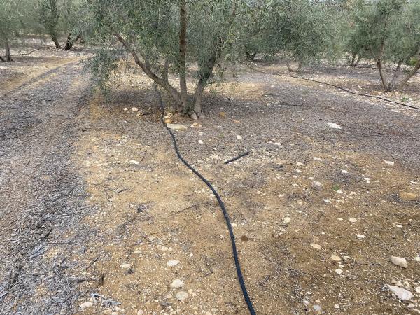 Terreno en Diseminado Poligono 2, 559