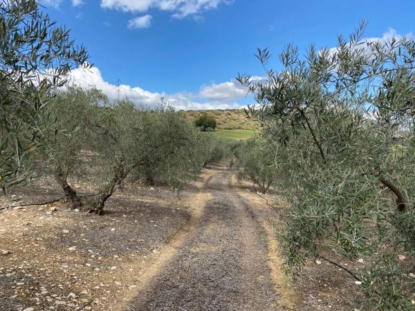 Terreno en Diseminado Poligono 2, 559