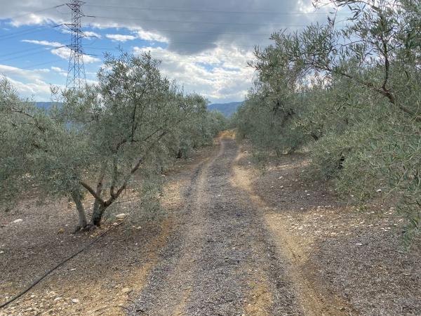 Terreno en Diseminado Poligono 2, 559