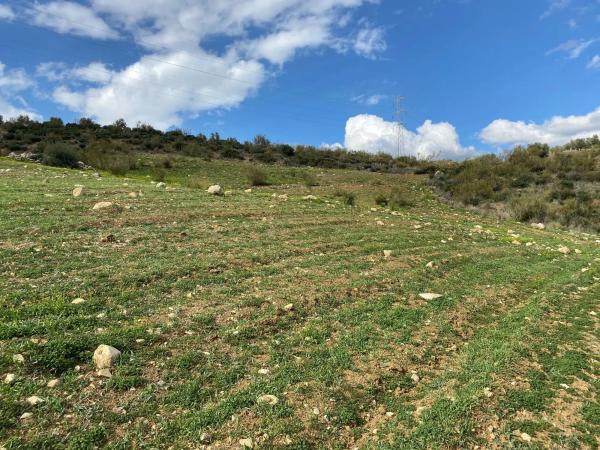 Terreno en Diseminado Poligono 2, 559