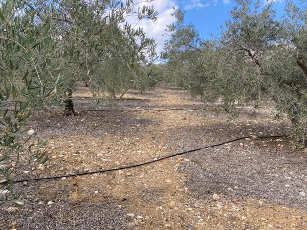 Terreno en Diseminado Poligono 2, 559