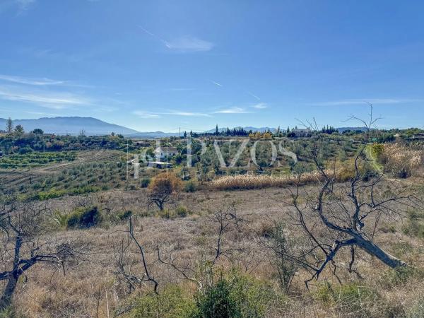 Terreno en Diseminado p 5