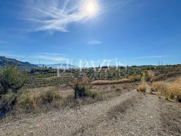 Terreno en Diseminado p 5