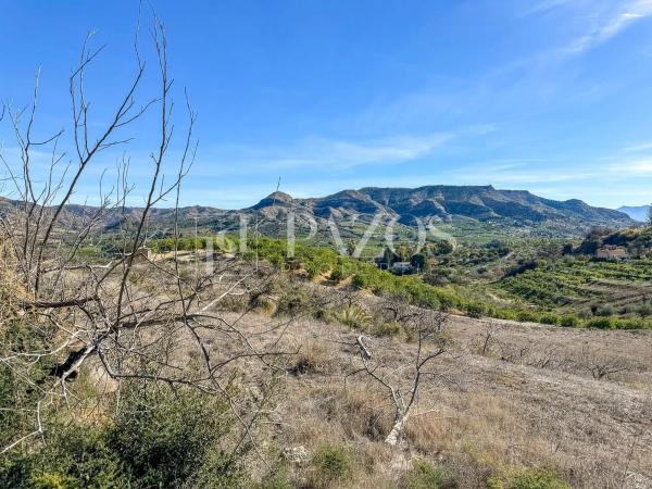 Terreno en Diseminado p 5