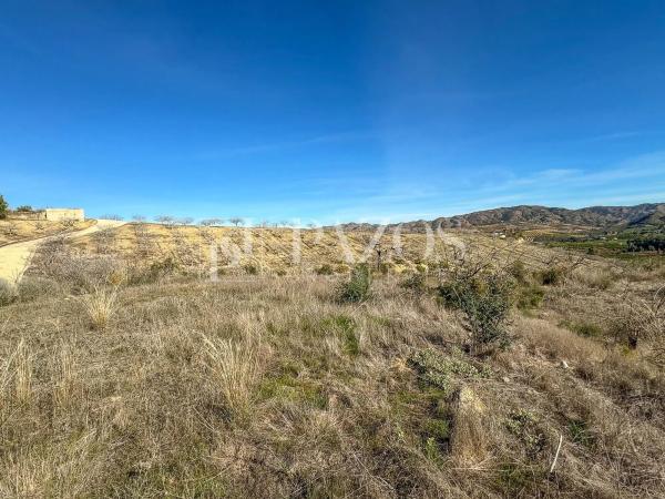 Terreno en Diseminado p 5