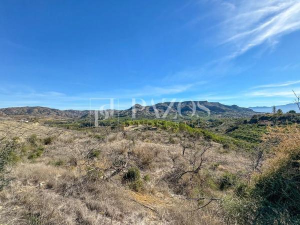 Terreno en Diseminado p 5