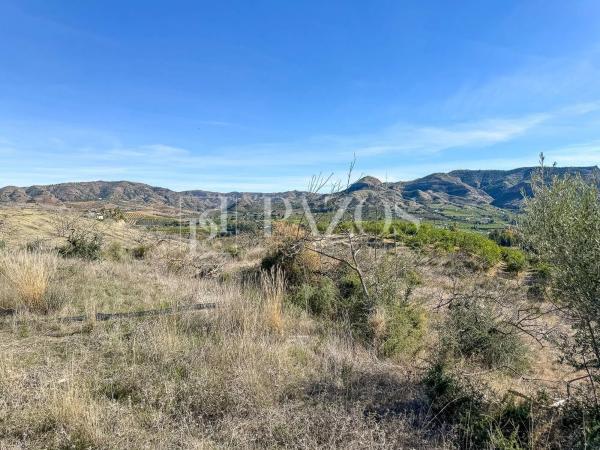 Terreno en Diseminado p 5